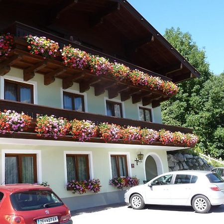 Apartmán Haus Rieder Georg Maria Alm am Steinernen Meer Exteriér fotografie