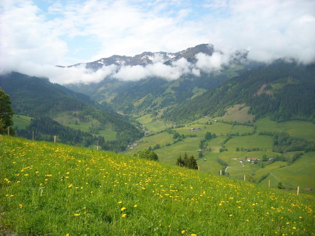 Apartmán Haus Rieder Georg Maria Alm am Steinernen Meer Exteriér fotografie